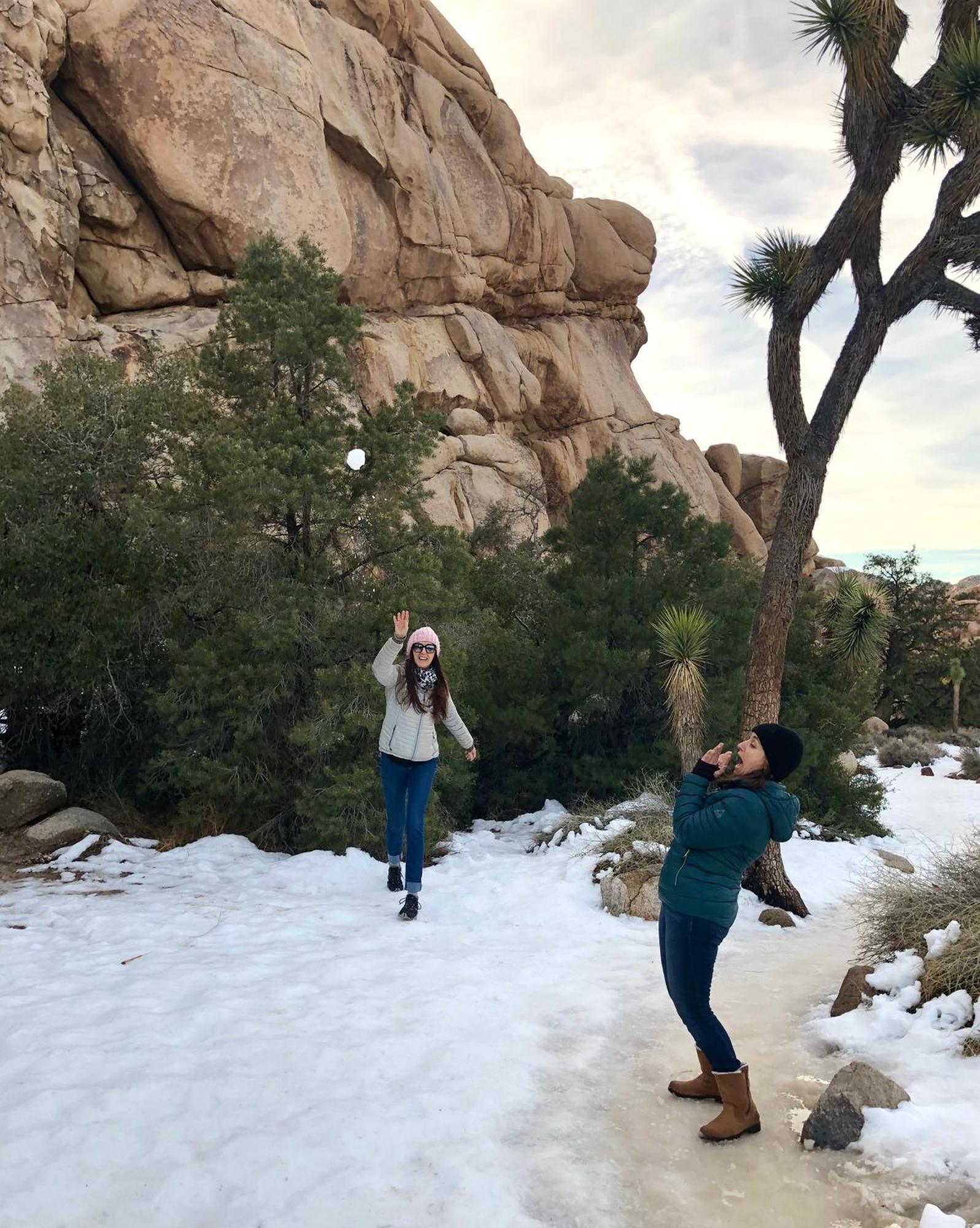 Cozy Desert Retreat With Amazing Views Only 4 Miles To Jtnp Joshua Tree Eksteriør bilde